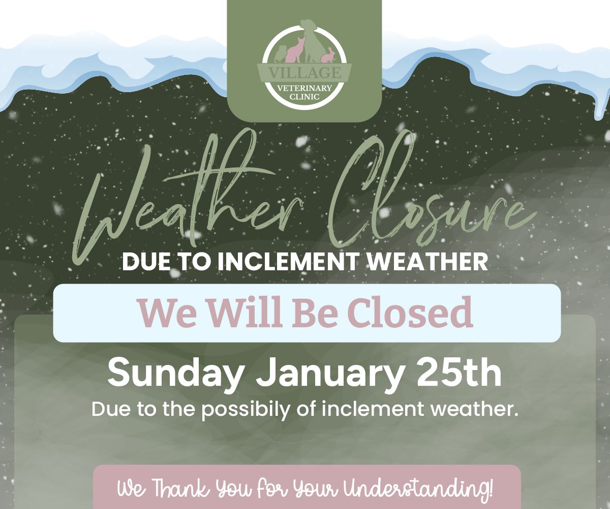 Weather closure announcement for January 26, 2020, indicating service interruptions due to severe weather conditions.